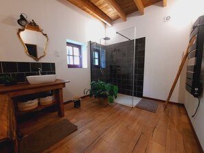 Shower, hair dryer, toilet paper
