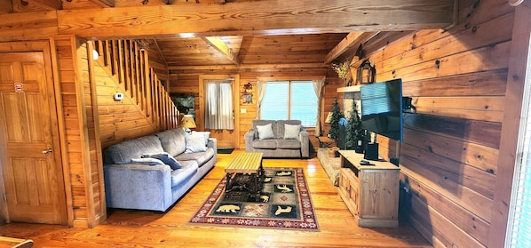 Smart-TV, Kamin