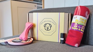 Un kit de bienvenue pour les chiens, un jouet en forme d’os rose et une couverture rouge sur un canapé.