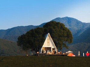 A white triangular building with a large tree in front, surrounded by a grassy field and mountains in the background. - Xinchi Sakura Valley Resort (Shaoxing)