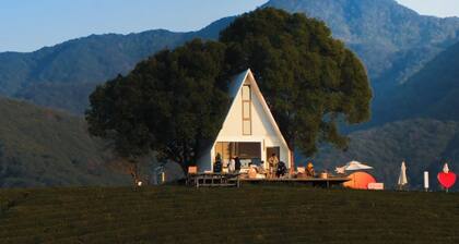 Xinchi Sakura Valley Resort