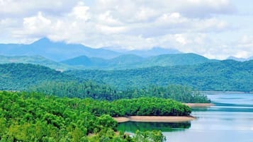 Caminhada