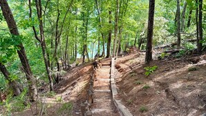 A wooden staircase in a forested area with trees and natural surroundings.