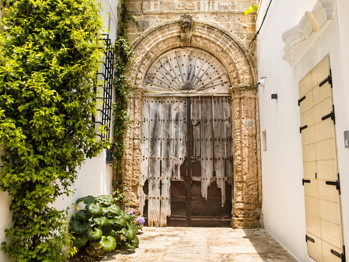 Detalle exterior