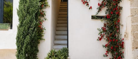 Außendetails