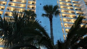 Un hotel de varios pisos con balcones y una palmera en primer plano.