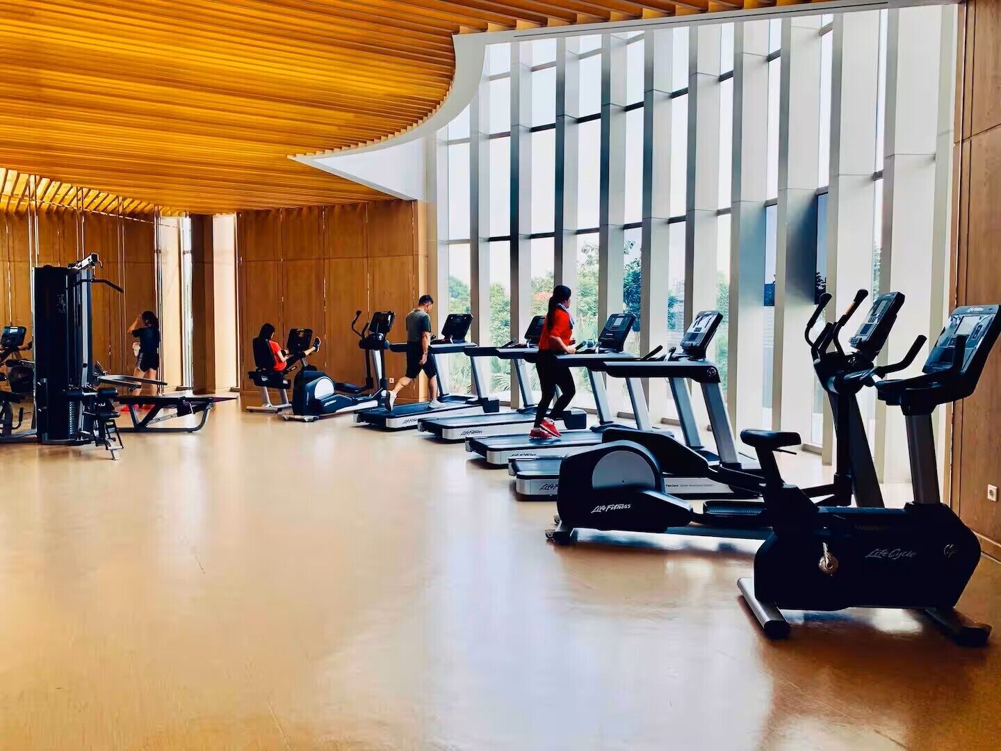 A gym with multiple treadmills, stationary bikes, and weight machines.