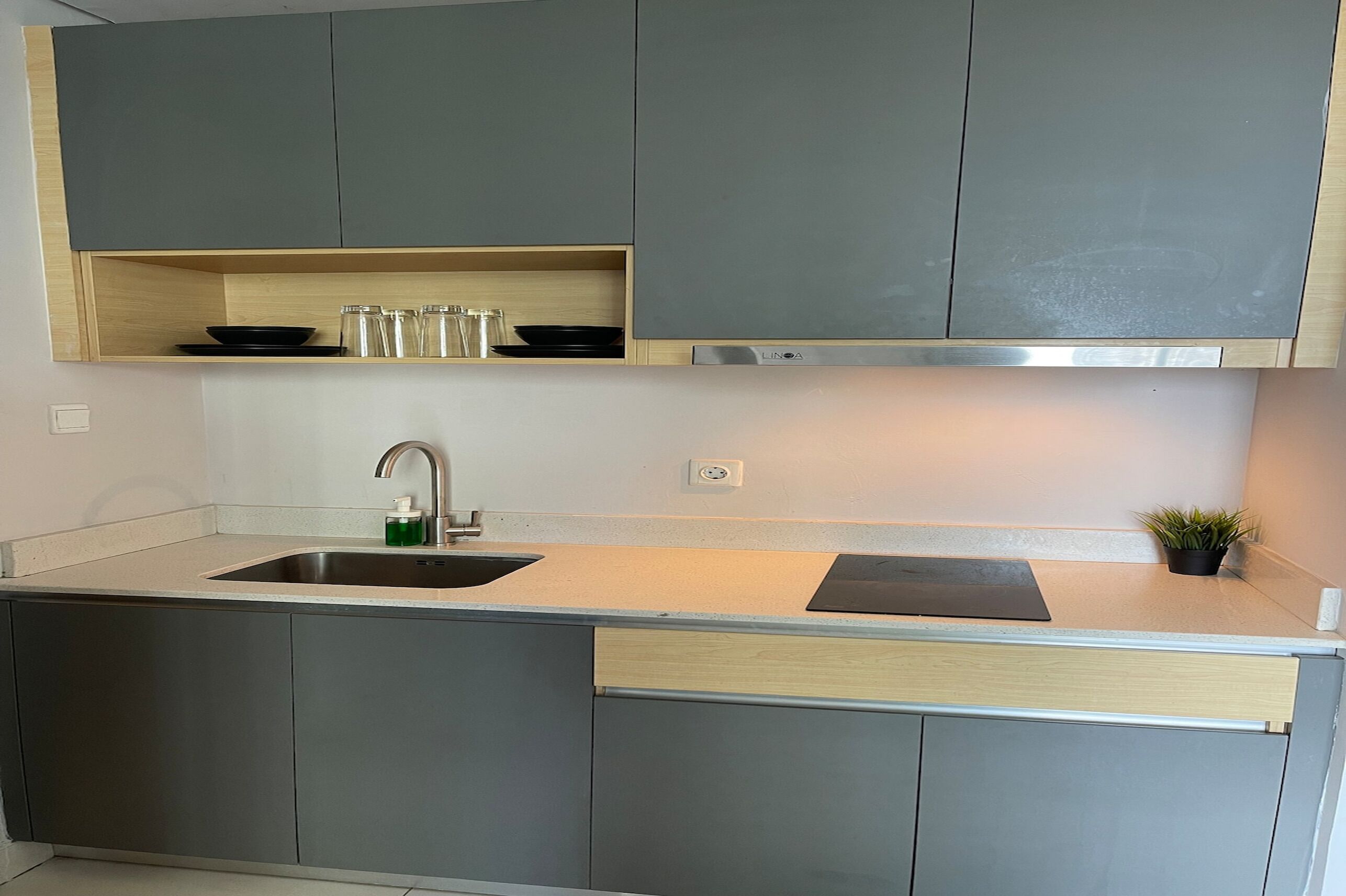 Una cucina moderna con mobili grigi, un lavello in acciaio inossidabile e una piccola pianta in vaso.