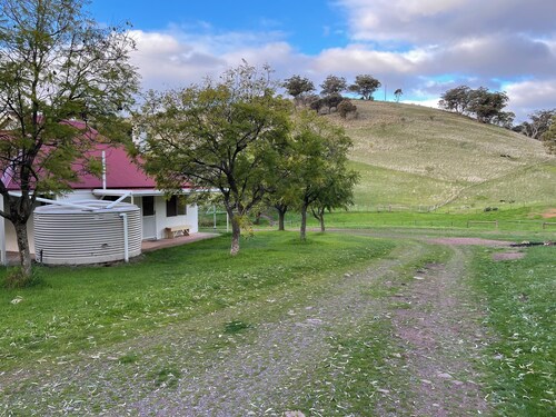 Working Merino Farm Stays in Horrocks Pass, Flinders Ranges