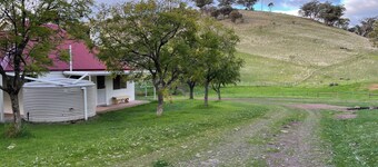 Working Merino Farm Stays in Horrocks Pass, Flinders Ranges
