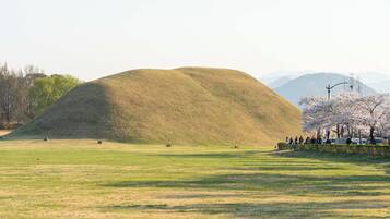 A grassy field with a large mound, cherry blossom trees, and mountains in the background.