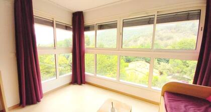 2 Rooms for 4 People