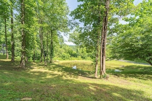 A natural landscape with trees, a pond, and a road in the background. - Beautiful Cabin on 5 Acres • Pond • Decks • Close to Everything (Marble)