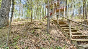Una scala di legno conduce a una casa circondata da alberi.