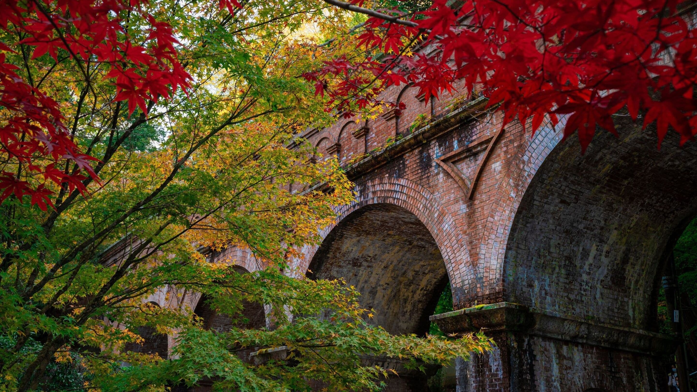 A historic stone bridge with arches, surrounded by autumn foliage.