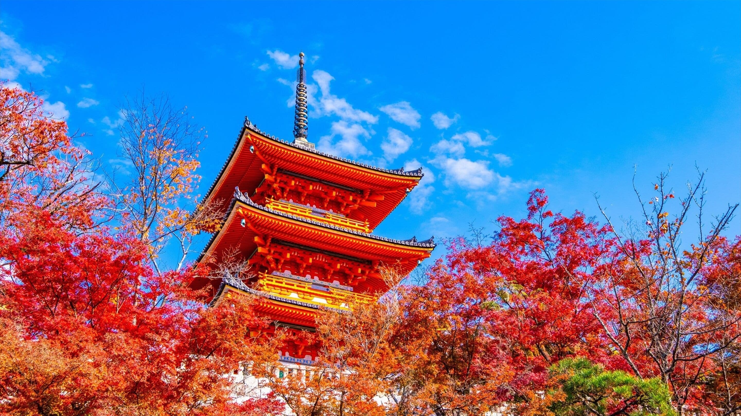 Photo - HANARE by Tokyu Stay Kyoto Sanjo