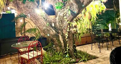 The Artists Studio with Jacuzzi in central West Palm Beach