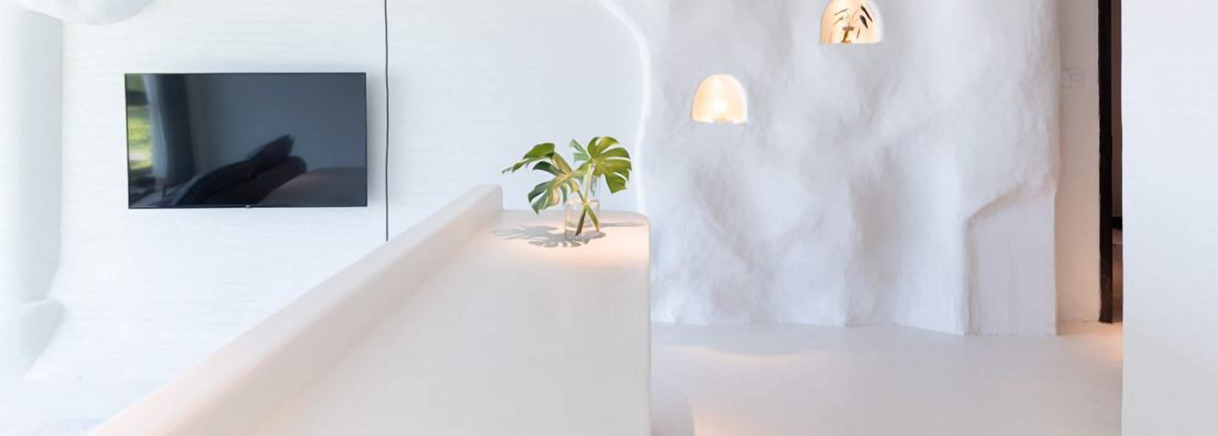 A modern interior with a flat-screen TV mounted on a white wall, a small plant on a white surface, and a wall-mounted light fixture.