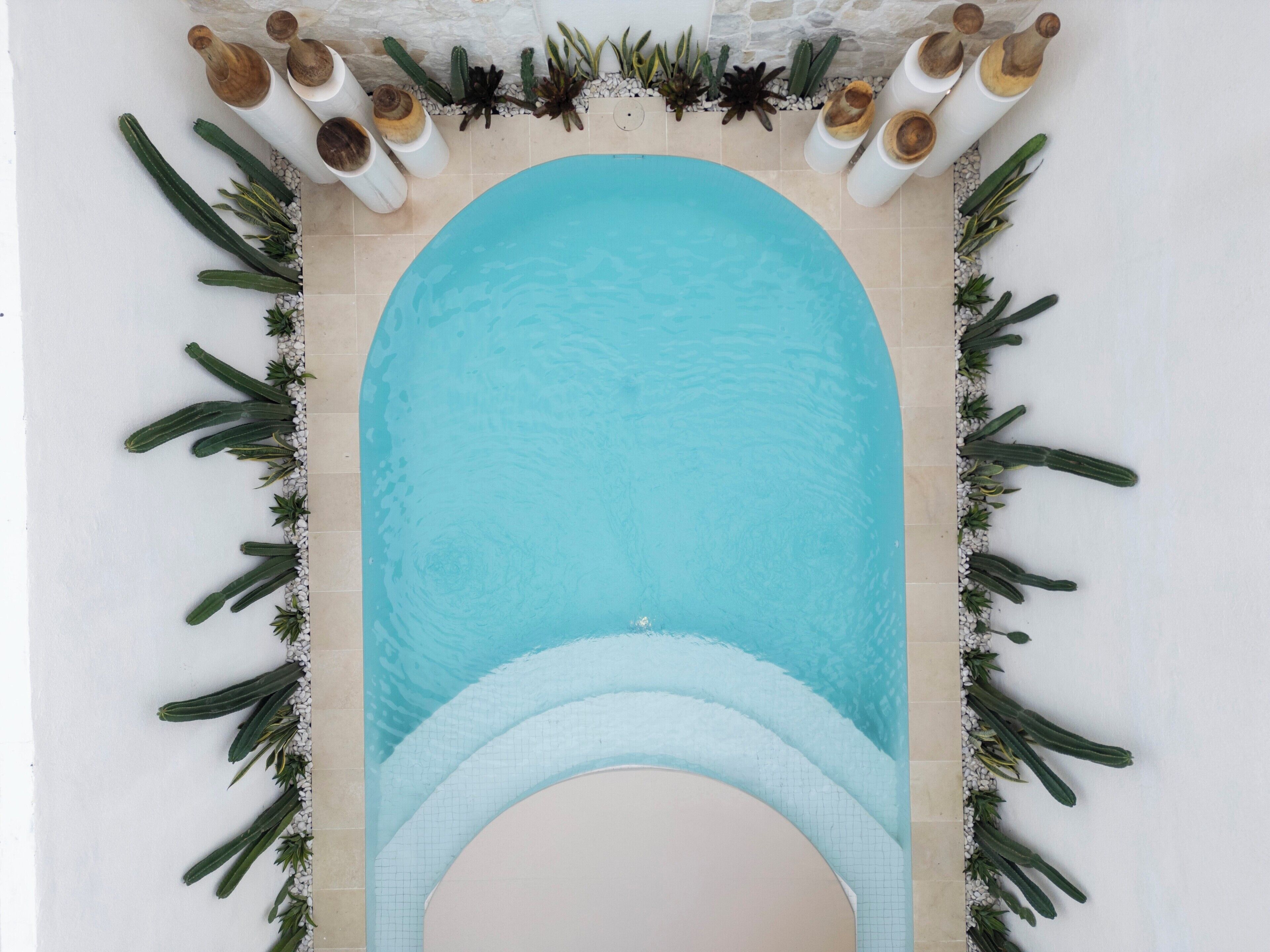 An aerial view of a swimming pool with a tiled deck, surrounded by various plants and decorative elements.
