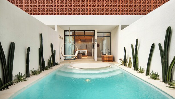 Un área de piscina interior moderna con un jacuzzi, rodeada de cactus y plantas, y vistas hacia una habitación bien iluminada con una cama y un armario de madera.