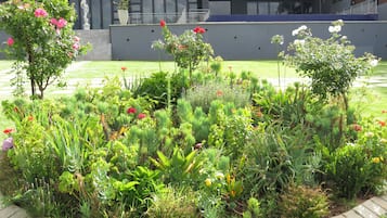 Jardín