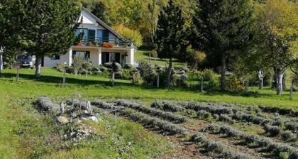 Ajda lavander apartment in Mutilić, Croatia - 2 Bedroom Apartment