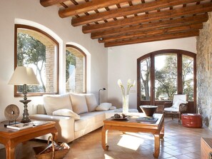 TV, fireplace, DVD player, stereo - Spacious Home in Navata (Navata)