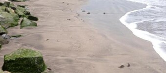 Special Place For Special People