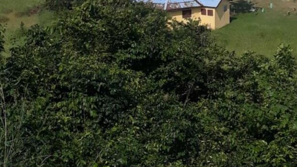 Une vue sur la côte, avec un bâtiment d’un seul étage, une plage et des palmiers.