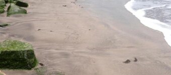 Special Place For Special People - Room 2