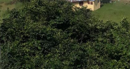 Special Place For Special People - room 4