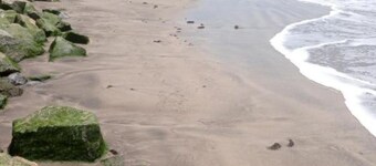 Special Place For Special People - room 5