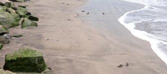 Special Place For Special People - room 6