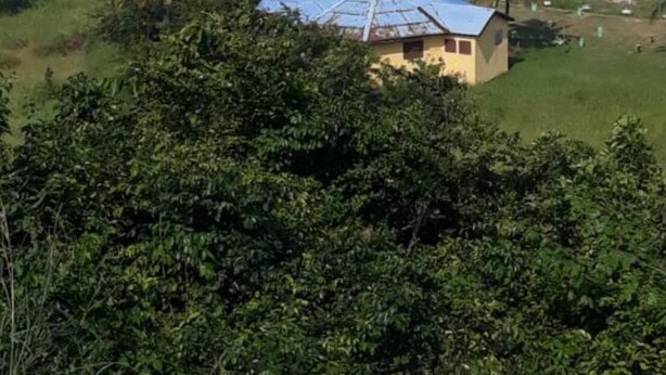 Une vue sur la côte, avec un bâtiment d’un seul étage, une plage et des palmiers.