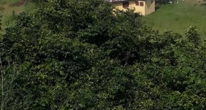 Special Place For Special People - room 8