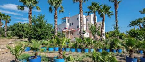 المنطقة المحيطة بالمنشأة