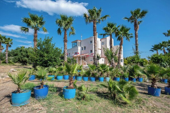 Stunning two-story building with a flat roof and balcony overlooking lush palm trees.