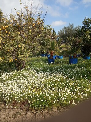 Enceinte de l’hébergement
