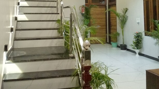 Una escalera con barandilla de metal, rodeada de plantas en macetas y un candelabro.