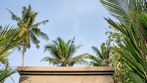 On aperçoit des palmiers et une construction en pierre, qui pourrait faire partie d’un complexe hôtelier ou d’un hôtel.