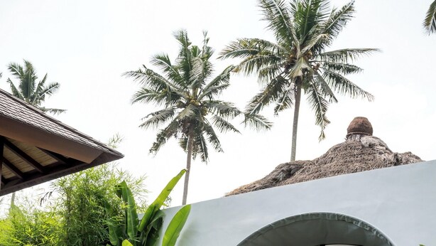 A poolside area with a wicker lounge chair, a dining table with food, and a thatched-roof structure in the background.