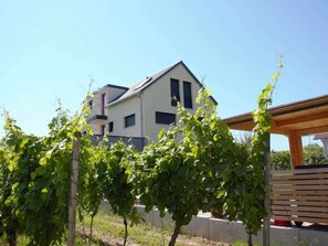 House | Property grounds - Holiday Apartment in Vogtsburg-bischoffingen With 1 Bedroom (Vogtsburg)