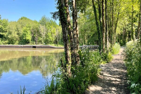 A serene riverside path with a wooden bridge, surrounded by lush greenery and trees.
