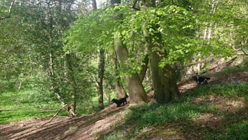 Áreas de la propiedad