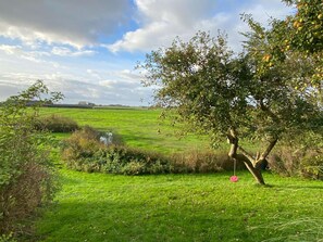 A grassy field with a tree, a birdhouse, and a distant building. - Opas Hus auf Pellworm (Pellworm)