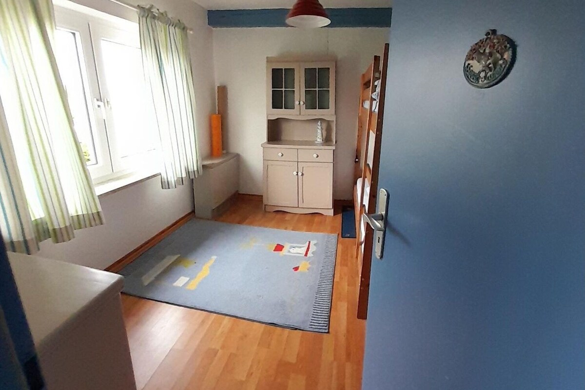 Une pièce avec un plancher en bois, une fenêtre avec des rideaux, une armoire, un tapis et une porte avec une poignée.