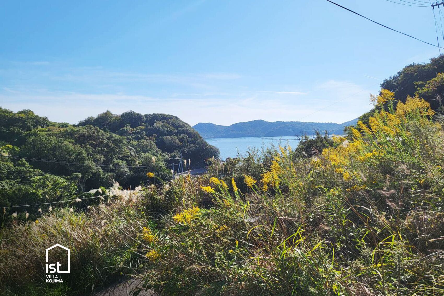 Paisaje costero con abundante vegetación y vista al mar.