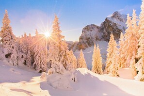 A snowy mountain landscape with evergreen trees and a clear sky. - Christmas in the Mountains, including the KönigsCard (ski passes) / Ski resort 400 m away (Pfronten)