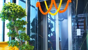 Un intérieur moderne agrémenté d’un arbre en pot, d’un ascenseur en verre et de guirlandes orange.