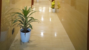 Un couloir doté d’un plancher poli, de plantes en pot et de tableaux encadrés accrochés aux murs.